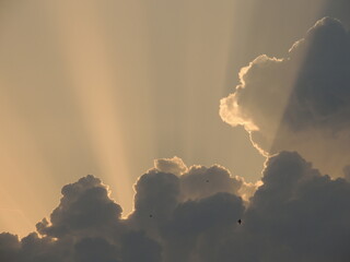 Sun light coming through