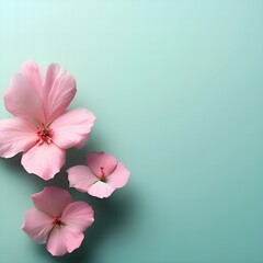 Pink beautiful flowers on the side with an empty middle on a mint background