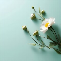 A beautiful white flower with a yellow center and many buds on an isolated mint-colored background