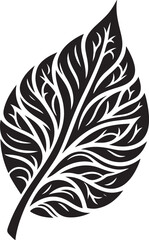 Obraz premium black and white feather