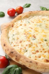 Delicious cheese pizza, basil and tomatoes on light grey table, closeup