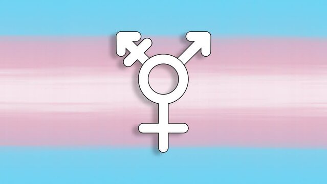 S&iacute;mbolo transg&eacute;nero versi&oacute;n 5