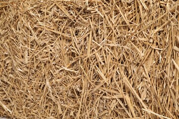 Pile of dried straw as background, top view