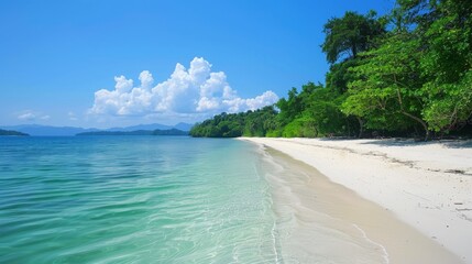 Beach with white sand, clear water, and trees