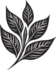 black and white feather