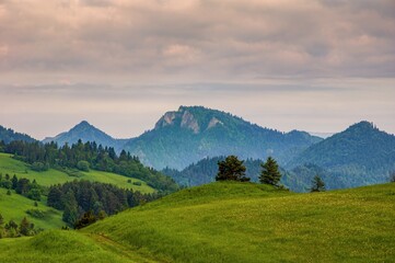 Spring in the Pieniny with Three Crowns mountain in the background. Mountain landscape with green meadows, hiking in spring nature.