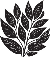 black and white feather