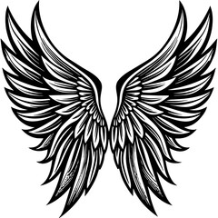  wings vector illustration