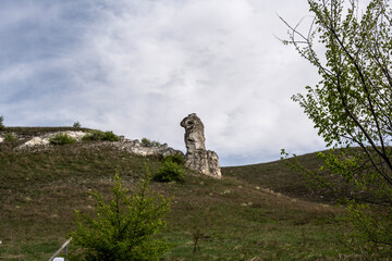 stunning landscapes with chalk cliffs and green meadows in spring in Divnogorye