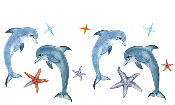 Sea animals border. Dolphins, starfish, stars. Iillustration for design, print, background
