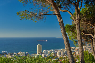 City, skyline and trees with ocean, landscape and sea for holiday location or outdoor journey....