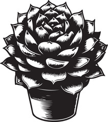 black and white lotus flower