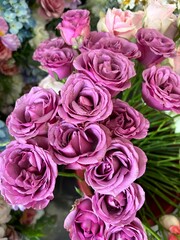 bouquet of pink roses