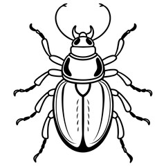 illustration of a beetle