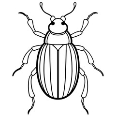 vector illustration of a beetle