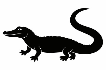 Alligator straight tail silhouette in profile an white background