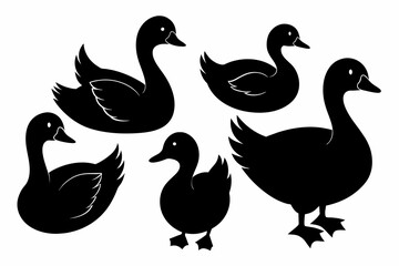 Set of black silhouette duck's vector illustration With on white background