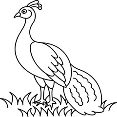 Peacock bird coloring pages.