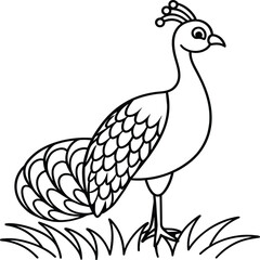 Peacock bird coloring pages.
