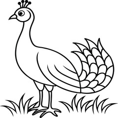 Peacock bird coloring pages.
