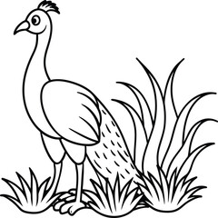 Peacock bird coloring pages.