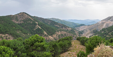 Fototapeta na wymiar Panoramic view of a typical mountain landscape of Andalusia under a stormy sky. Malaga, Spain. 