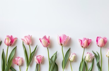 Cherished Moments: Pink Tulips Border for Mother's Day Card or Wedding Invitation