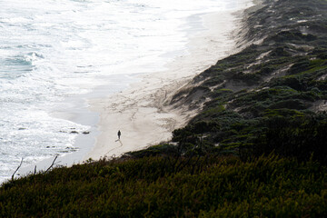 Lone wanderer on a beach