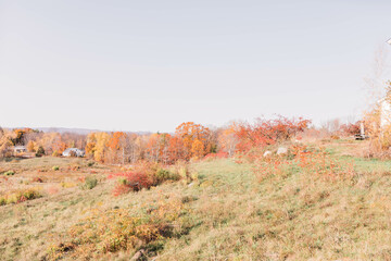 autumn in the mountains