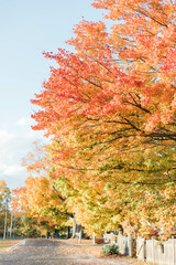 small town road in autumn foliage