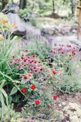 flowers in the garden