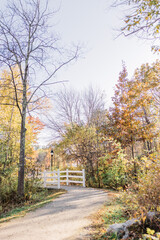 path in autumn