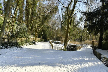 L'allée se divisant en deux directions sous la neige au parc Bergoje à Auderghem