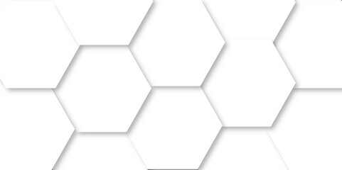 Abstract white background with hexagons. Luxury White Pattern. modern futuristic wallpaper.