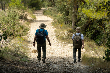 Fototapeta na wymiar ack view, two hikers walking on a beautiful path, on a summer day. 