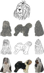 Old English Sheep dog breed, Bobtail coat Colors. Black stroke, drawing style, illustration with stroke. Big head, cartoonish style, art line, sitting pose bobtail, side view, profile. Popular vector.