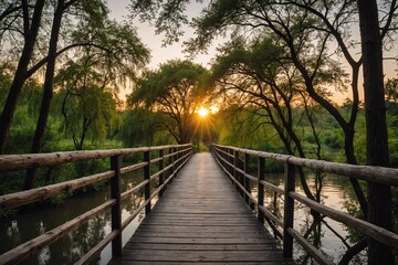 Wooden bridge and tree branches over river at sunset