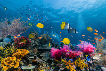 World Oceans Day. Underwater ecosystem with vibrant corals, numerous fish, and clear blue water. Generative AI