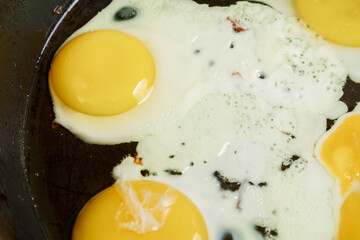 Scrambled eggs are fried in a frying pan in oil close-up