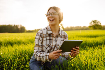 Smart agriculture.  A woman agronomist checks the quality of the crop using a digital tablet  on a green wheat field
