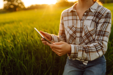 Smart agriculture.  A woman agronomist checks the quality of the crop using a digital tablet  on a...