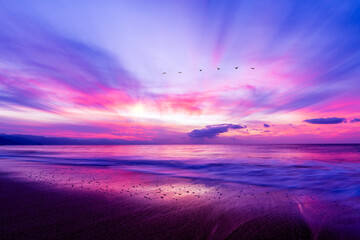 Bird Flying Ocean Beach Sunrise Freedom Inspiration Divine Hope Beautiful Ethereal Colors