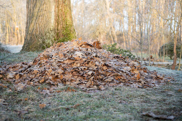 Laubhaufen im Garten im Winter für Insekten zur Überwinterung / Konzept: Gartenarbeit im Winter