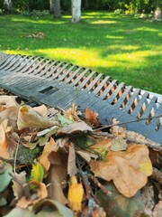 Black plastic roof rake tool with dry leaves and branches on grass lawn, autumn garden cleaning equipment for removing debris and fallen leaves, outdoor yard work concept