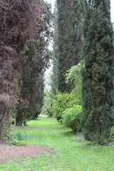 GIARDINI DI NINFA