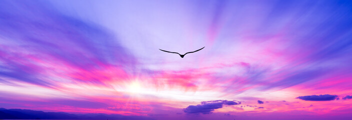 Bird Flying Beautiful Sunset Clouds Silhouette Soaring Inspirational Surreal Romantic Sky Banner...