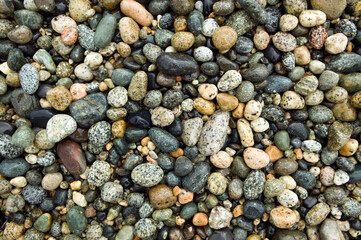 Beach River Rock Natural Pattern Texture Background