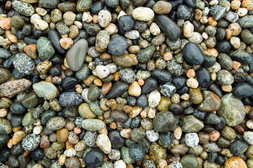 Beach River Rock Natural Pattern Texture Background