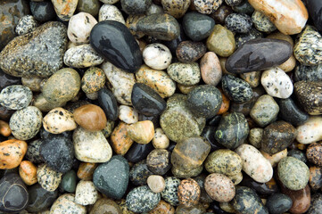 Beach River Rock Natural Pattern Texture Background