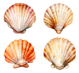 Obraz premium Shells collection Watercolor Clipart